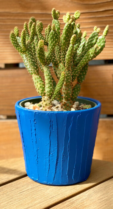 blue pottery with cactus in it